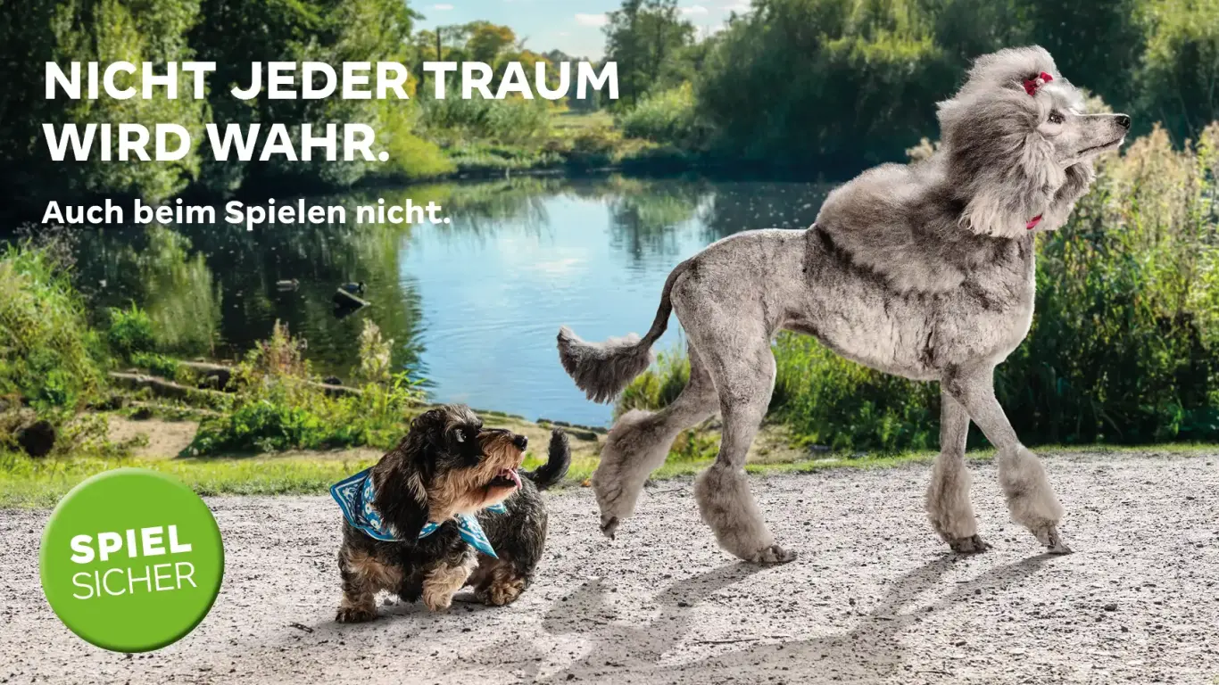 110.C.003 Überarbeitung Safer Gambling Kampagne 297x210_Hunde