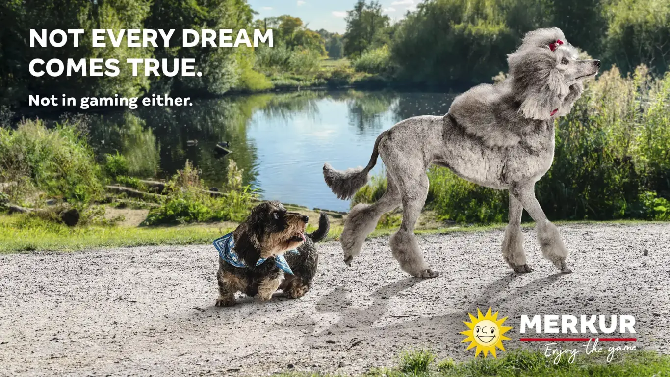 Responsibility_Dogs_16x9-PlaySafe