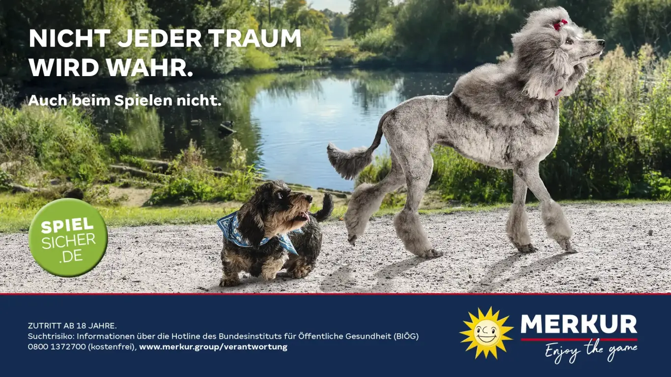 Verantwortung_Hunde-16x9_SpielSicher