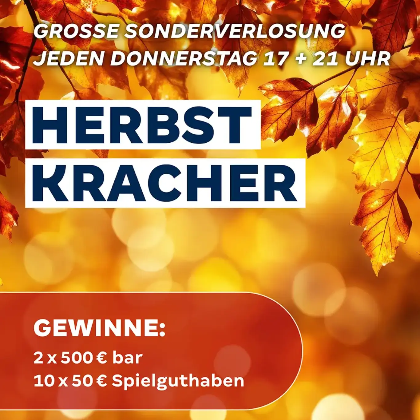 422.W.002 BAB_Herbstkracher_Online Grafik_1080x1350px