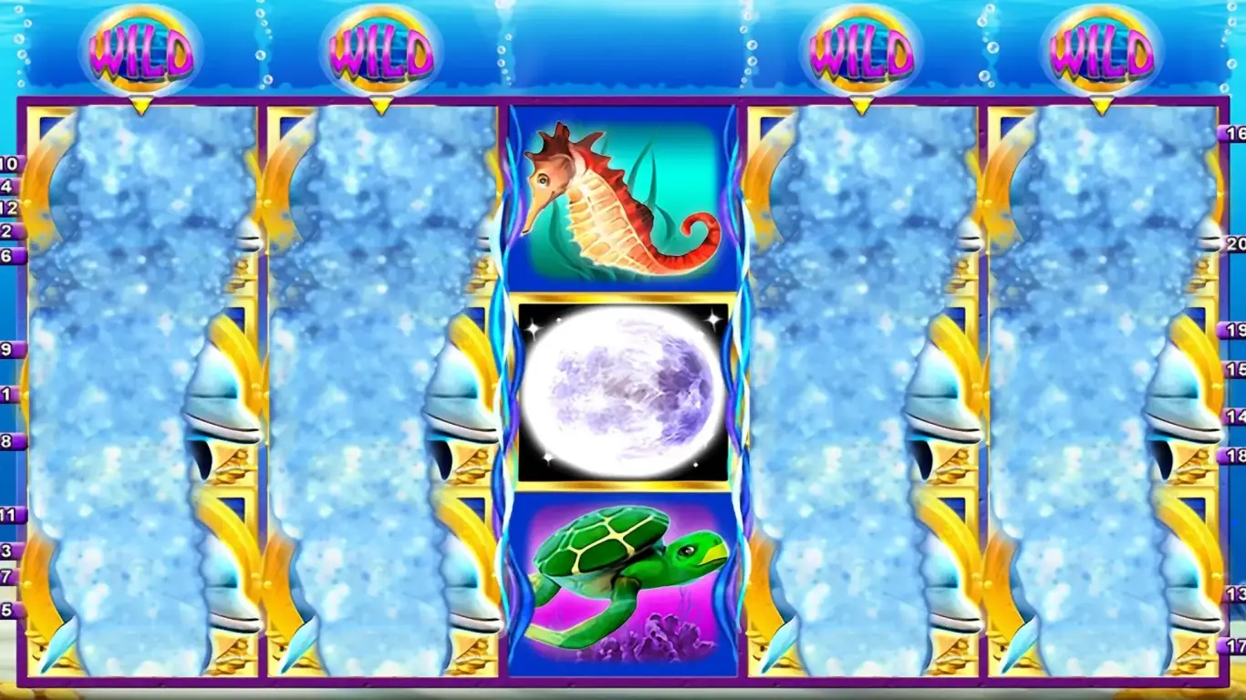 DolphinsMoon-Basisspiel2
