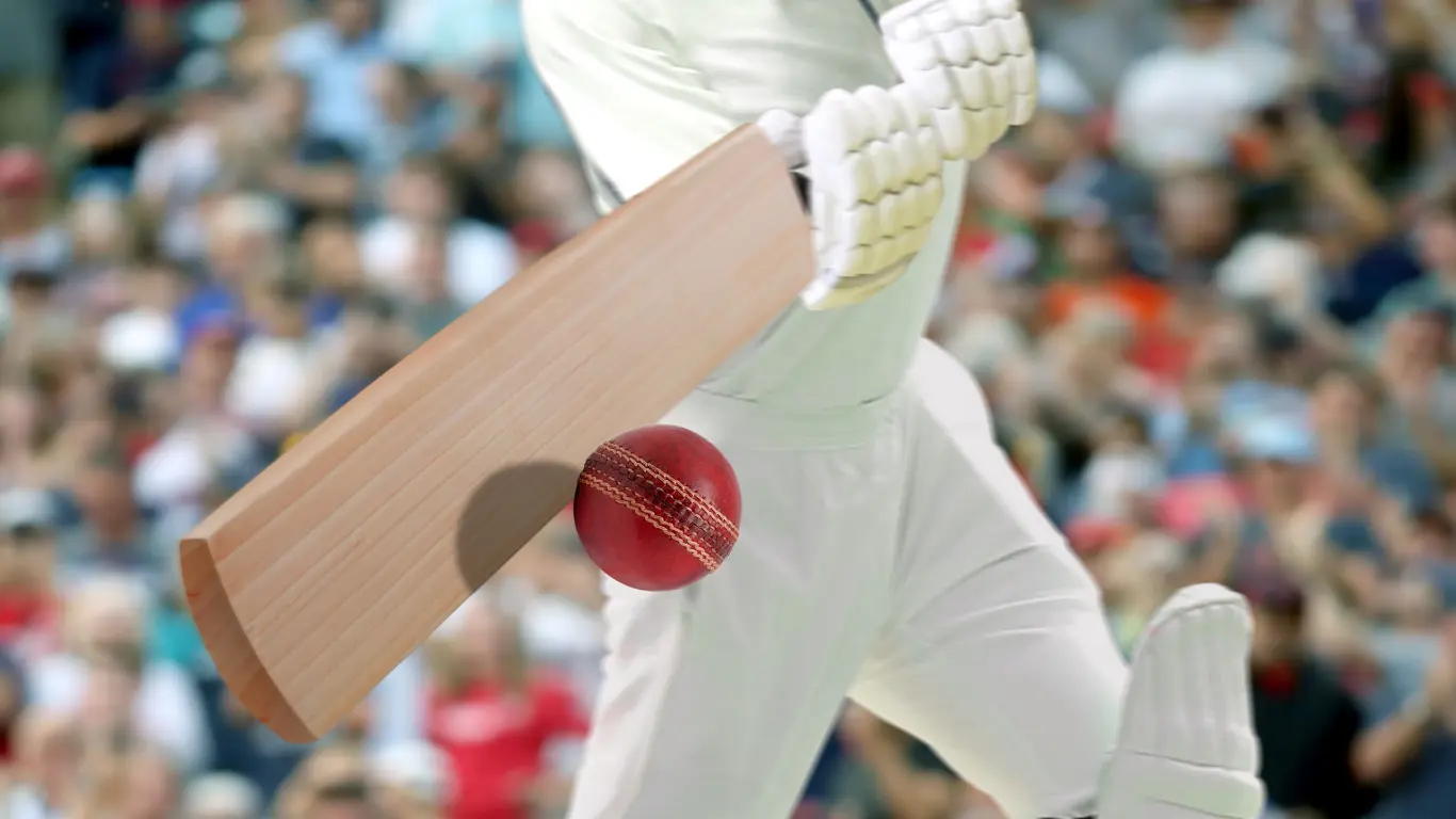 Cricket_Schläger_Schlagmann_Stock_Sportwette